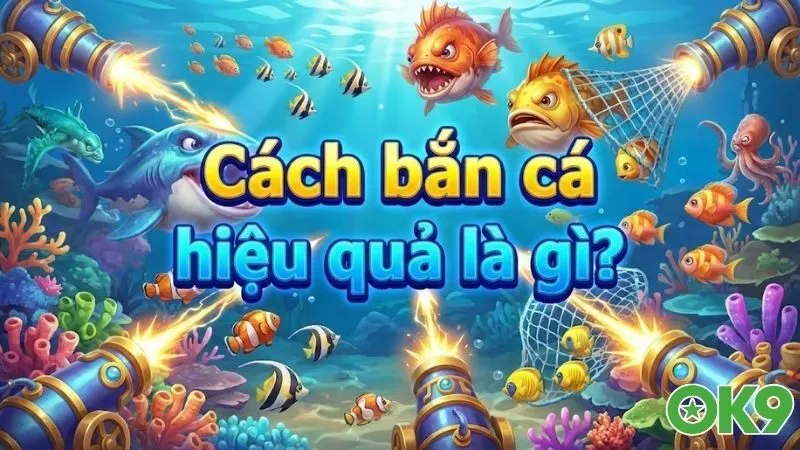 cach-ban-ca-hieu-qua-la-gi-bi-kip-rinh-qua-cuc-khung